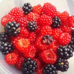 Summer Foraging in Forest Park: BERRIES!