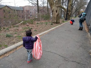 tiny foragers in Forest Park